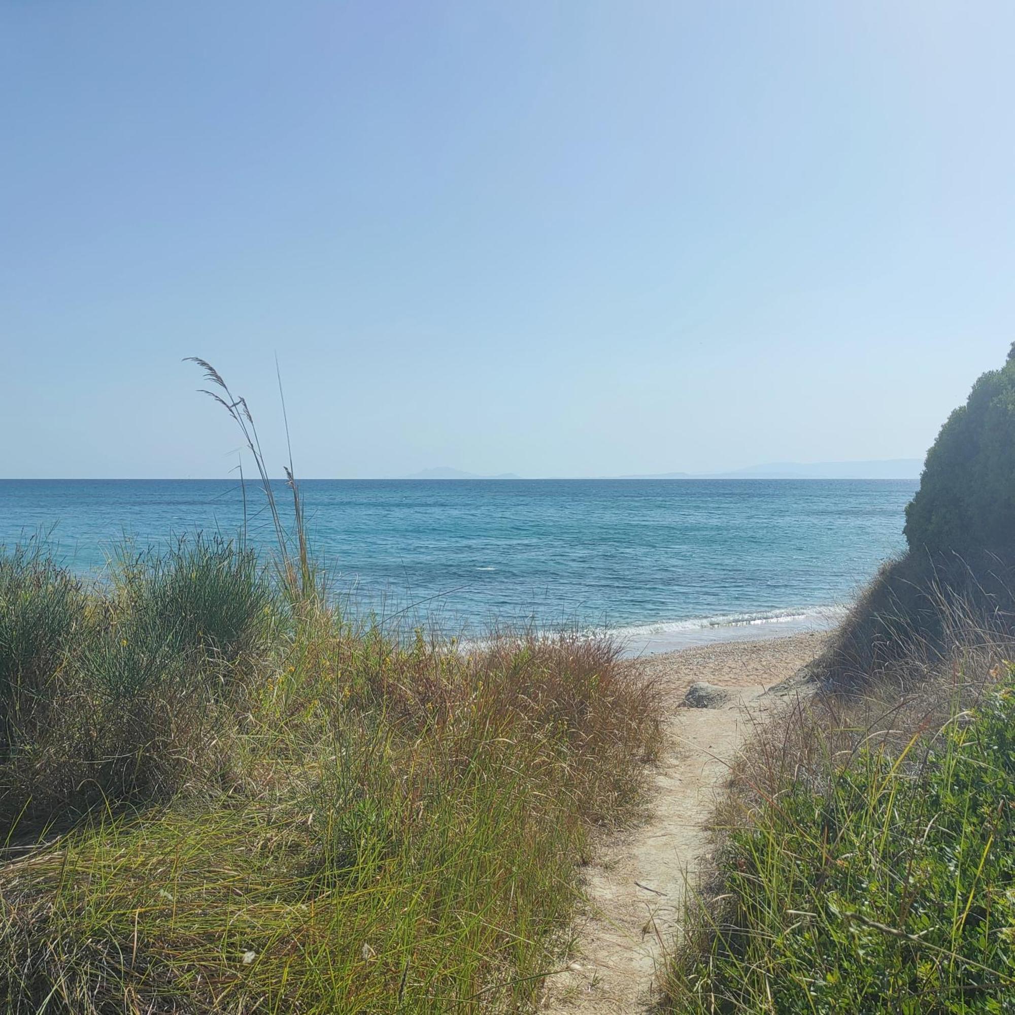 Kalamies - Secluded Beach Apartments Skala  Екстериор снимка